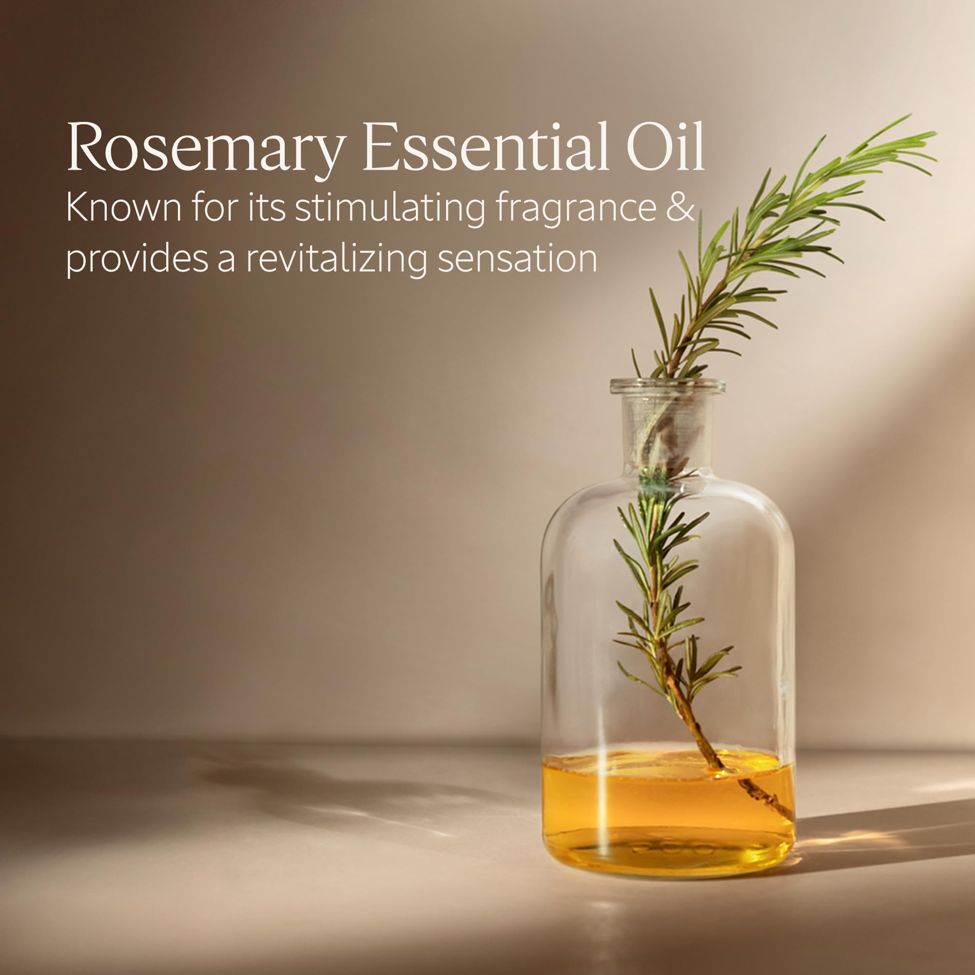 L'Occitane Aromachologie Volume & Strength Shampoo 16.90 fl. oz - Image 4