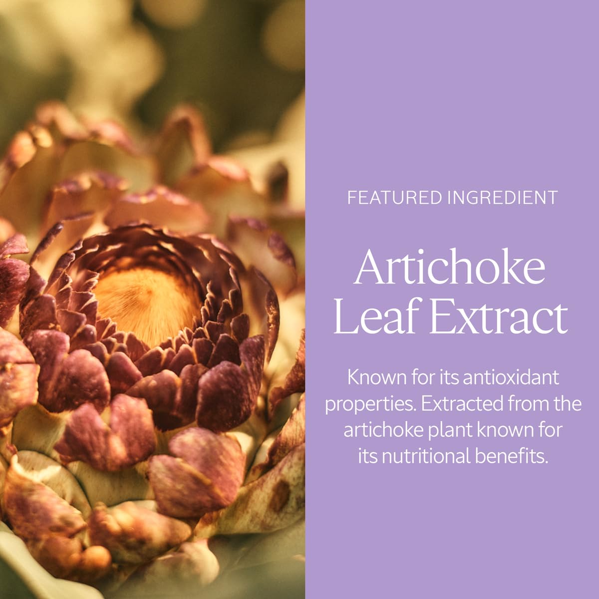 L'Occitane Artichoke Body Scrub 7.00 fl oz - Image 4