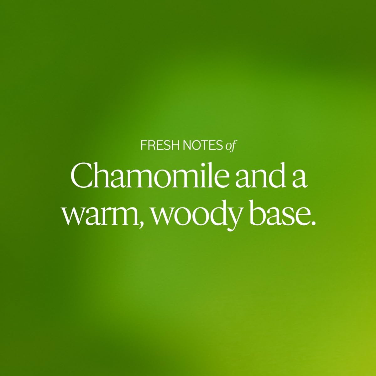 L'OCCITANE Barbotine Perfumed Body Lotion 8.40 fl oz - Image 4