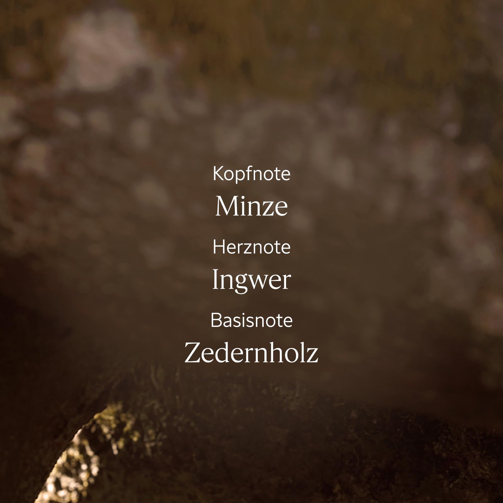 L'OCCITANE Cap Cédrat Shower Gel 8.40 fl oz - Image 3