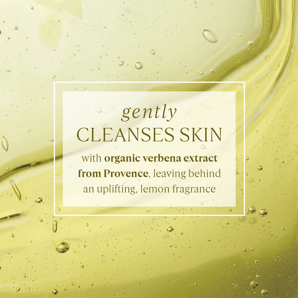 L’OCCITANE Cleansing Bath & Shower Gel: Lavender, Citrus Verbena, Verbena, Men's, Rose, Neroli & Orchidee, Herbae, Gently Cleanse and Delicately Perfume the Skin, Made in France - Image 3
