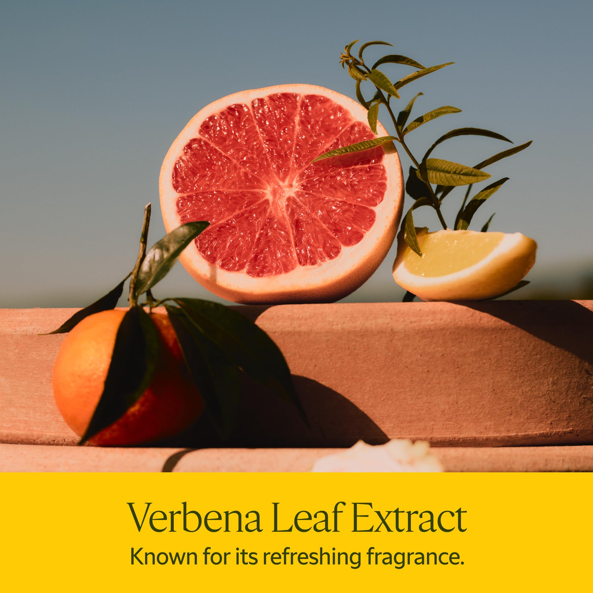 L'Occitane Eau de Toilette: Cherry Blossom, Rose, Neroli & Orchidee, Citrus Verbena, Verbena, Fragrance - Image 4