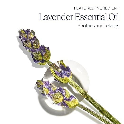 L'OCCITANE Hand Cream Set, 8 Nourishing & Moisturizing Daily Travel-Size Tubes with Shea Butter, Repairs Dry Hands, Perfect for Gifting & On-The-Go - Image 6