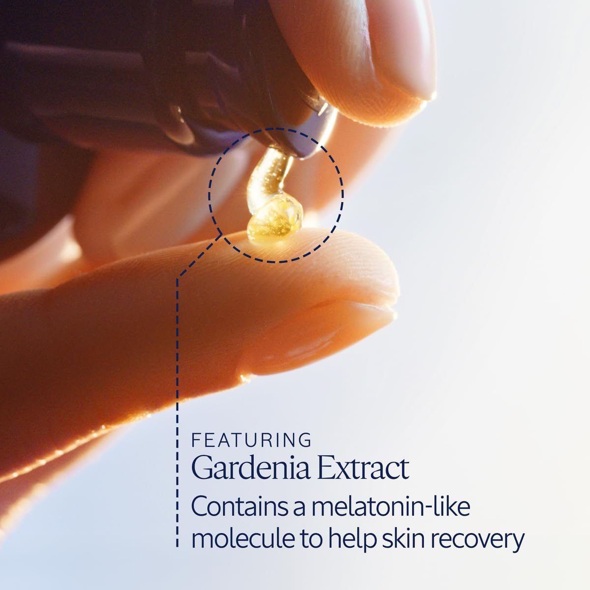 L'Occitane Immortelle Overnight Reset Oil-In-Serum: More Radiant Skin In 1 Night, Smooth Fine Lines, Revitalize Dull Skin, Award-Winner - Image 3