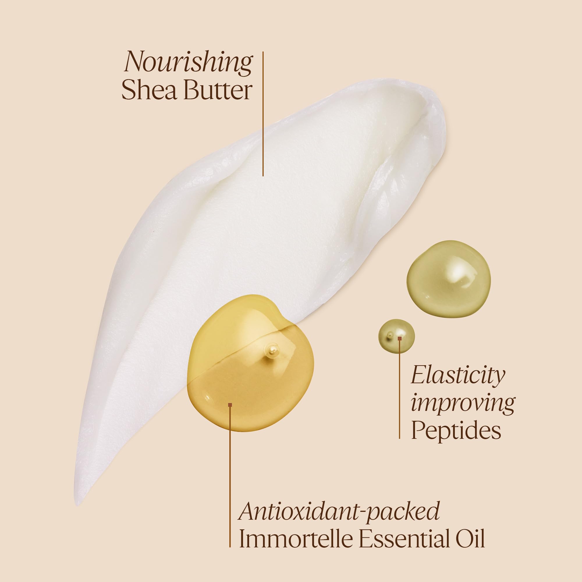 L'Occitane Immortelle Shea Body Balm 6.90 oz - Image 3