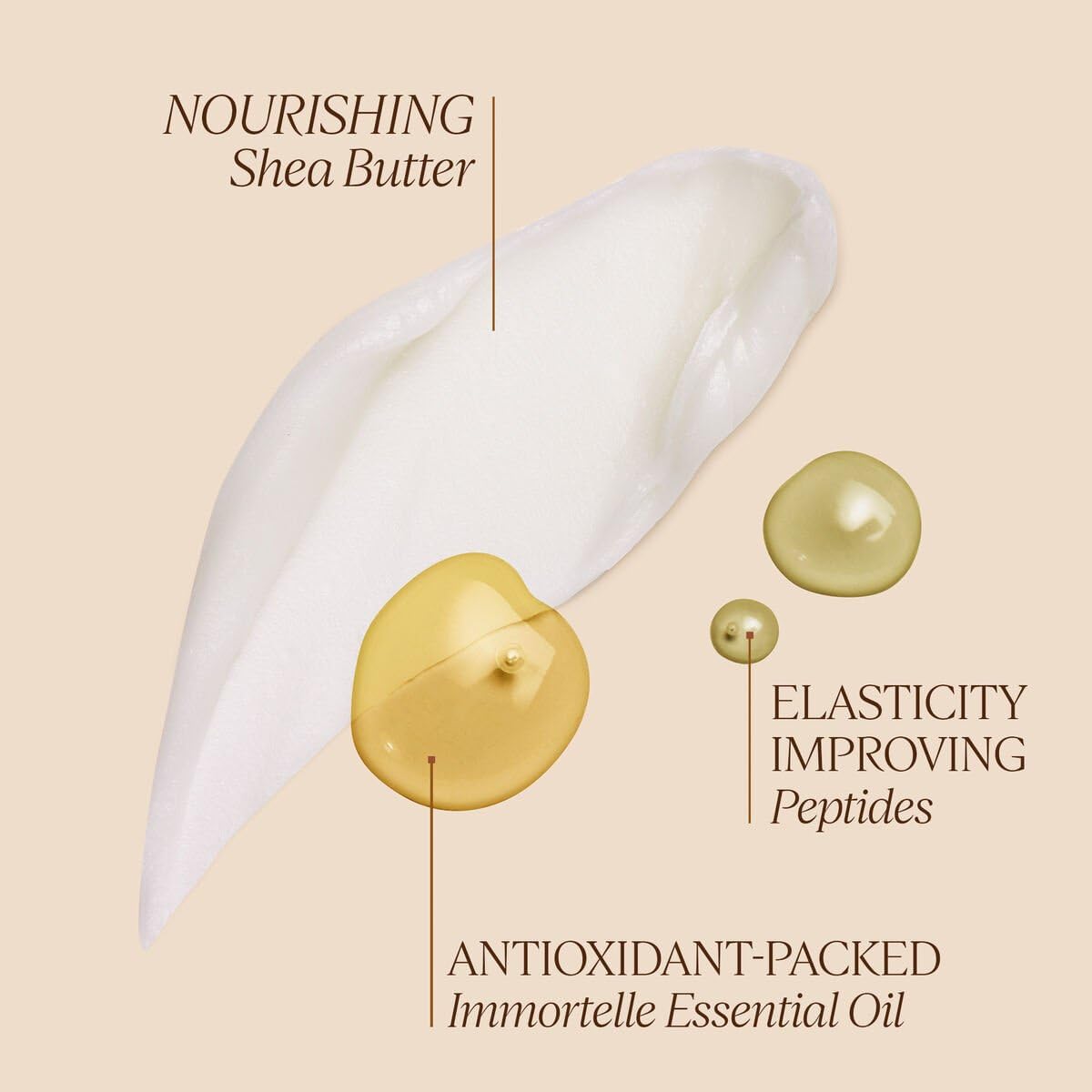 L'OCCITANE Immortelle Shea Neck Cream 1.70 oz - Image 3