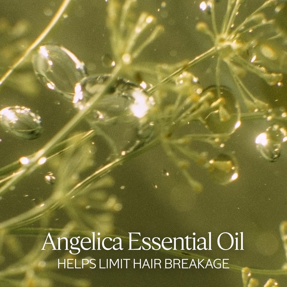 L'Occitane Intensive Repair Shampoo: Silicone-Free Shampoo, Help Revitalize Dry, Damaged, Color-Treated Hair, Vegan, Refill Available - Image 3