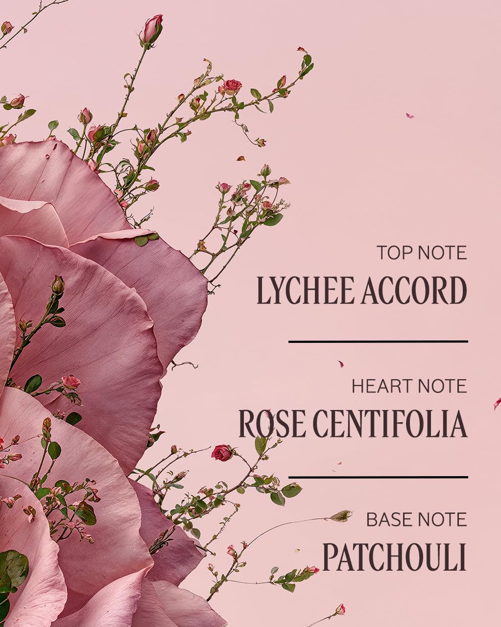 L'Occitane L'Occitane Rose Body Lotion: Moisturizing, Romantic Rose Fragrance, With Shea Butter, Softening, Made in France - Image 4