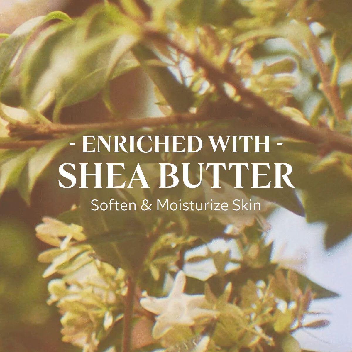 L'OCCITANE Osmanthus Body Lotion 8.40 fl oz - Image 3