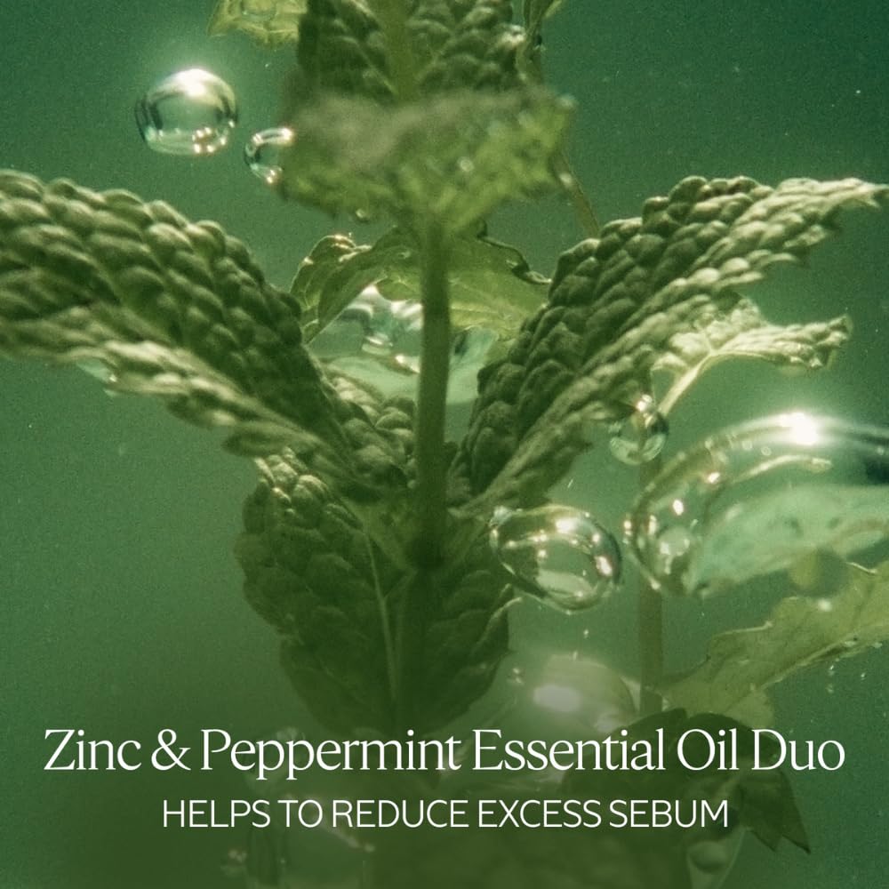 L'OCCITANE Purifying Freshness Shampoo.: Helps Reduce Excess Sebum, For Normal to Oily Hair, Without Silicone, Refill Available - Image 4