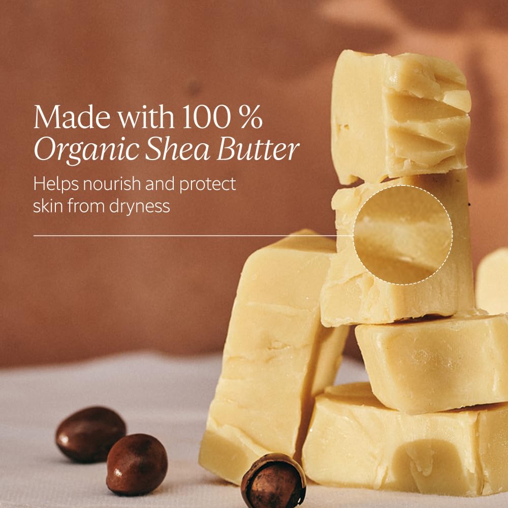 L'OCCITANE Shea All Day Body Skincare Gift Set, Ultra Rich Cream, Hand Lotion, Foot Balm, Nourishing Lip Care, Hydrate & Comfort Dry, Cracked Skin - Image 5