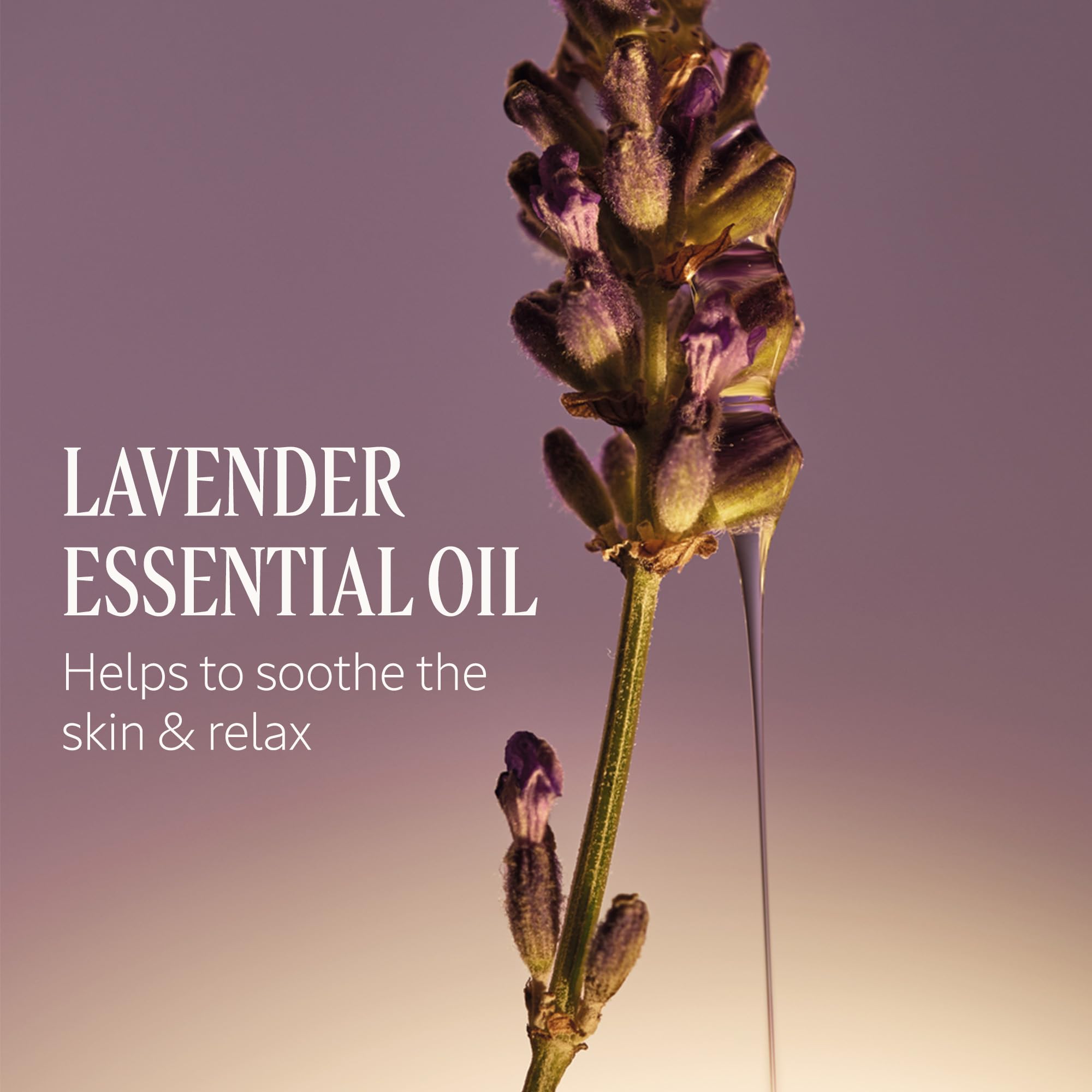 L'OCCITANE Shea Hands & Body Lavender Liquid Soap 16.90 fl oz - Image 5