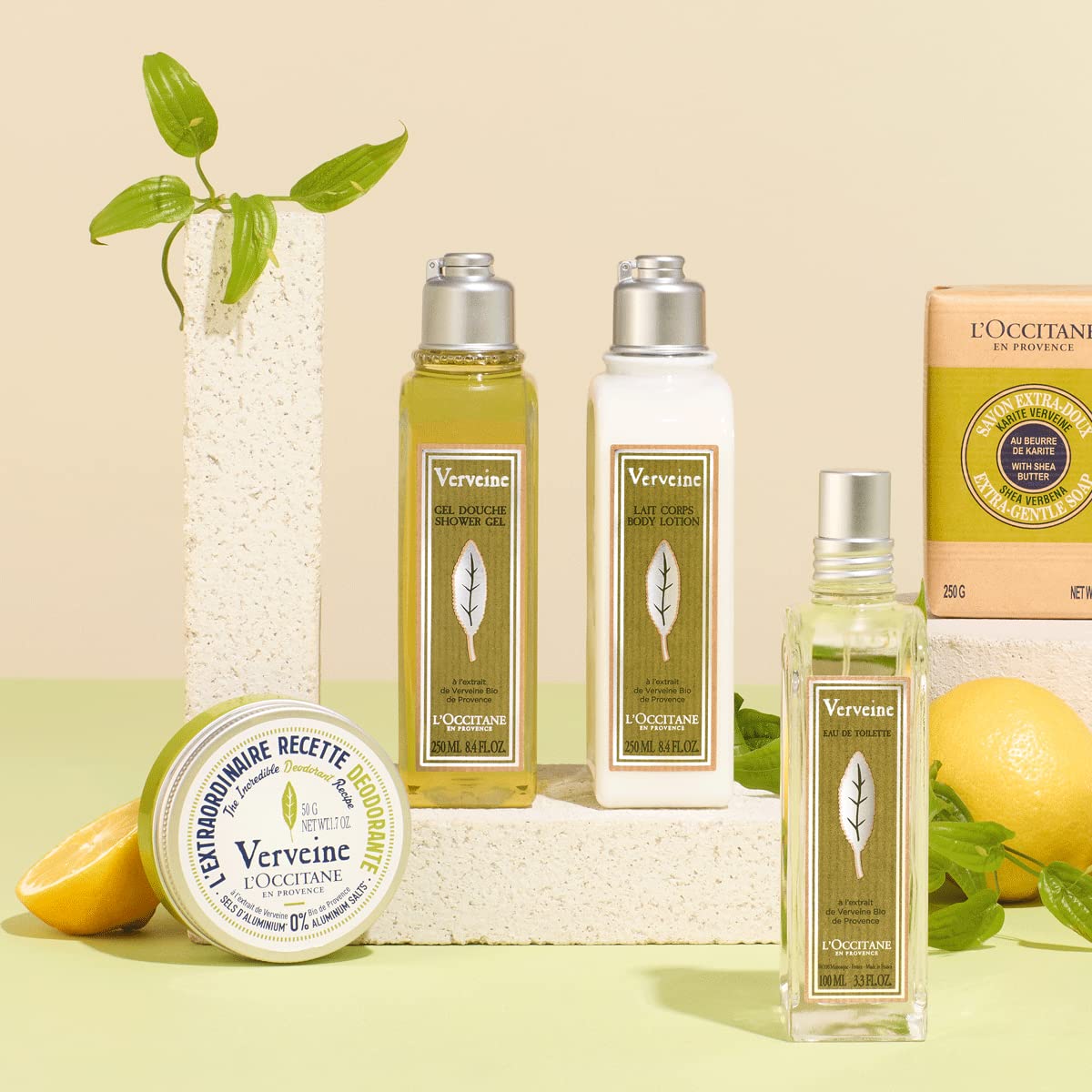 L'OCCITANE Verbena Body Lotion Marketplace 8.40 fl oz - Image 3